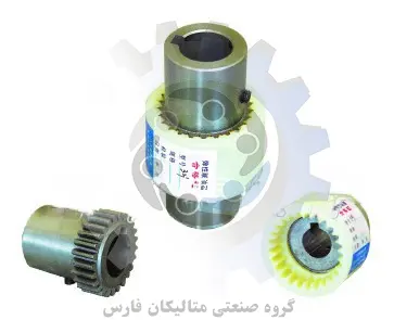 متالیکان فارس-کوپلینگ انعطاف پذیر از نوع دندان داخلی NL